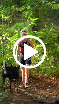 BIB:  <button type="button" onclick="openModal(27821786)" class="btn btn-primary btn-sm float-right" data-toggle="modal" data-target=".modal-high-quality">
                <i class="fa fa-download"></i> Download
                </button>